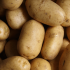 Batata Branca